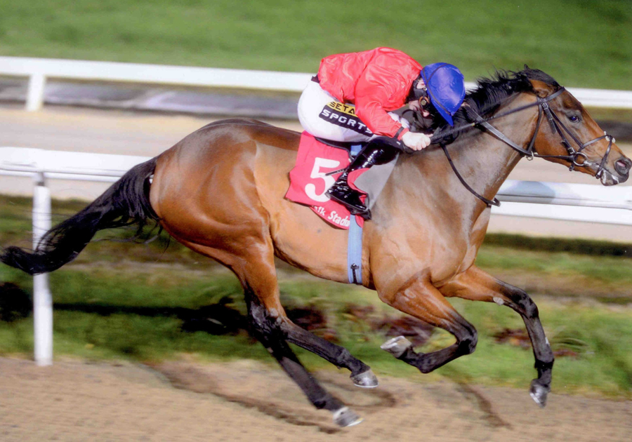 Plus Ca Change Dundalk 12th November 2014